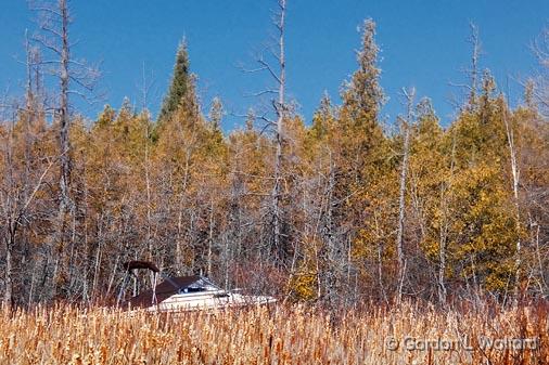 Sailing The High Trees_15132.jpg - Photographed east of Smiths Falls, Ontario, Canada.